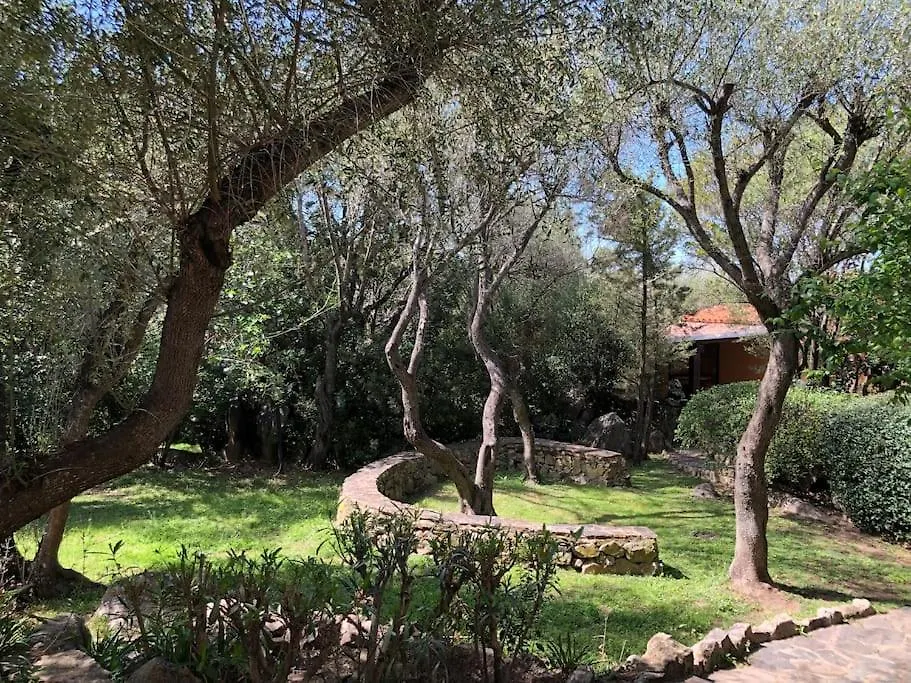 Il Nido Di Luca A Porto Rotondo Apartamento 0*,